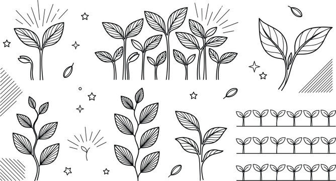 Young plant sprout and seedling collection set with leaves growing in rows agriculture outline line art vector illustration