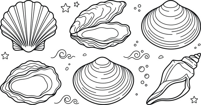Seashells collection set including scallop oyster clam conch marine ocean life elements outline line art vector illustration decoration