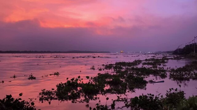 Dramatic pink and purple sunset reflecting on a calm Magdalena river, with floating aquatic plants and a distant horizon creating a serene tropical waterscape.