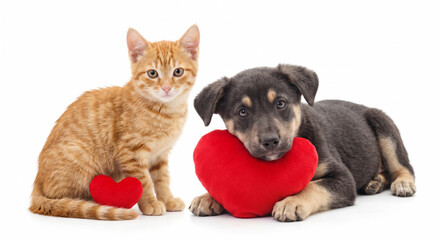 Fototapeta premium Cute orange tabby kitten and black puppy resting with a red plush heart isolated on a white background