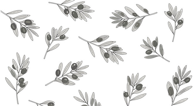 Minimalist line art illustration featuring multiple olive tree branches with leaves and black olives scattered on a white background in a clean vector style.