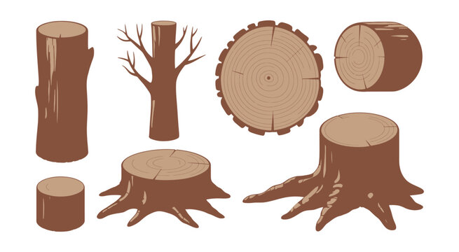 Wood log and tree stump vector illustration featuring timber trunks, branches, and natural wood slice elements for forestry and nature design concepts.