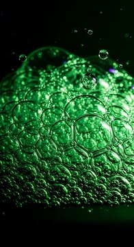 Close-up of vibrant green moss in dark forest.