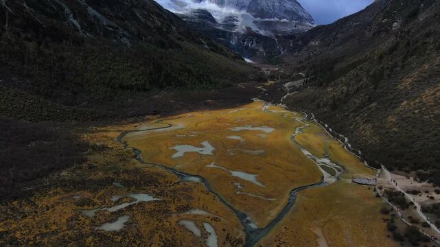 Aerial view of stream winding through golden autumn wetland in closed intermountain basin of Daocheng Yading China