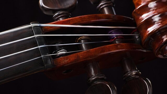 taut. Close-up of violin strings stretched taut over dark polished wood, reflective metallic lines. product launch decks, UI/UX mockups, designed for product launches and innovation pitches.