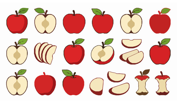Red Apple Collection with Whole Fruit Halves Slices and Core Vector Illustration
