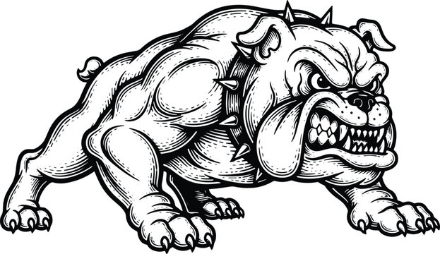 Aggressive muscular bulldog mascot with spiked collar vector illustration design
