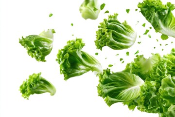 Obraz premium Fresh green lettuce leaves in mid-air on a white background, highlighting their crisp texture and vibrant color.