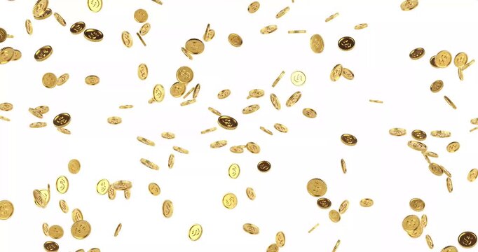 4k Resolution Video: Money Rain Concept. Golden Dollar Coins Falling Animated On White Background With Alpha Matte