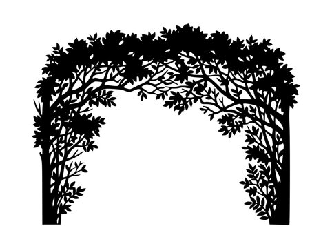 Black Silhouette of a Leafy Tree Branch Archway Isolated on White