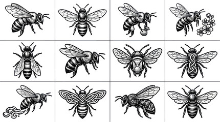 Collection of Detailed Bee Illustrations in Various Poses. © Rejeki