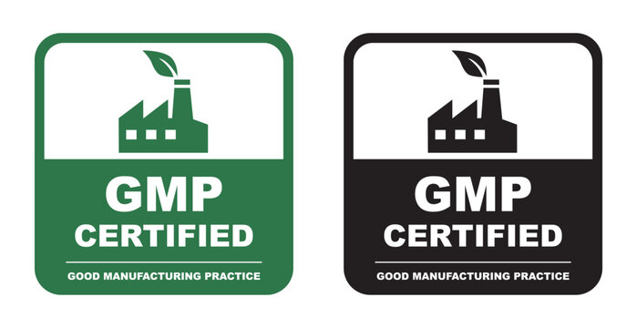 GMP Certified Good Manufacturing Practice Square Badge Set, Quality Control Standards Factory with Leaf Stamp Vector Illustration