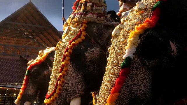 Decorated elephants taking part in a procession during a temple festival in Kerala, India