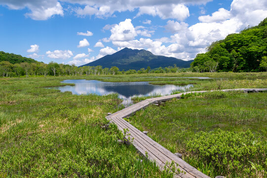尾瀬の湿原と池と木道と遠景の山