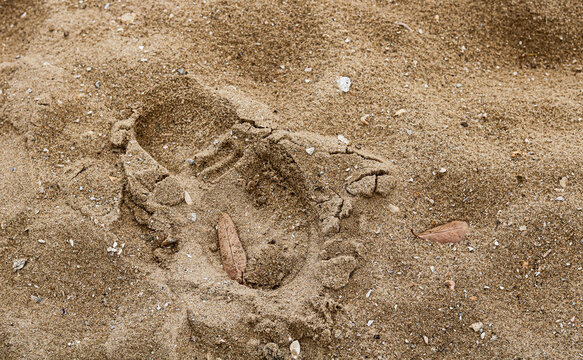 A deep shoe footprint pressed into coarse beach sand.