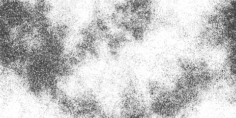 Fototapeta premium Black and White Grainy Grunge Texture Vector Background with Stippled Noise Effect