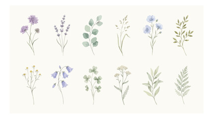 Watercolor wildflower collection with 12 botanical elements, hand painted floral vector set, delicate lavender and eucalyptus herbs for wedding stationery © I'm_coming