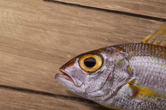 Closeup of fresh threadfin bream fish lying on wooden table