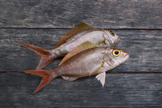 Top view of two fresh threadfin bream fish lying on wooden table