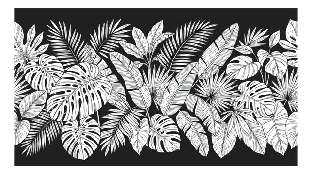 Tropical leaf border in black and white, exotic monstera and palm foliage vector, botanical jungle plant frame for summer invitations and textile design