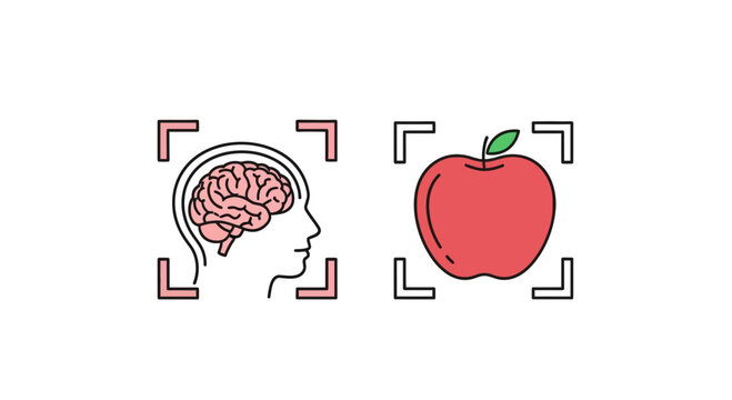 AI Brain Scan Recognizes Apple, Concept of Machine Learning and Object Recognition