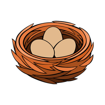 Vector illustration of three brown bird eggs in a cozy twig nest isolated on a solid Transparent background