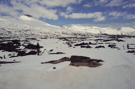 remote spring snowmelt in the historic Yukon territories in Canada, untamed wilderness at altitude