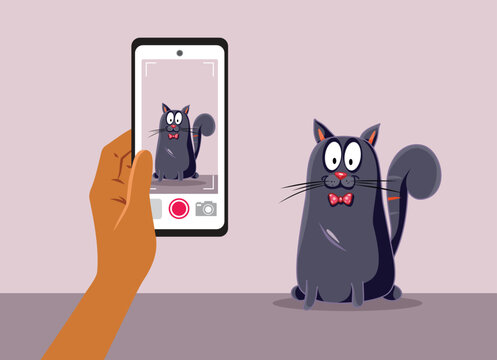 Hand Holding Phone Photographing Domestic Pet Cat Vector Illustration Graphic. Pet owner using smartphone camera takes picture of cute kitty 
