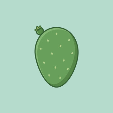 A simple green prickly pear cactus pad on a mint background