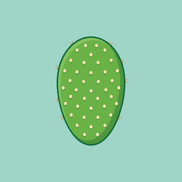 A minimalist green cactus pad illustration on a teal background