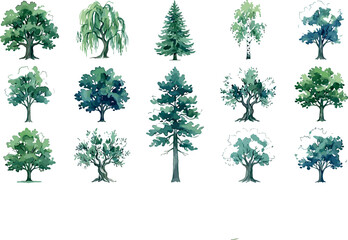 Fototapeta premium Watercolor Green Forest Tree Collection with Oak Pine Willow Birch and Cypress Botanical Species for Outdoor Landscape Architecture Layouts and Eco Friendly Pattern Designs