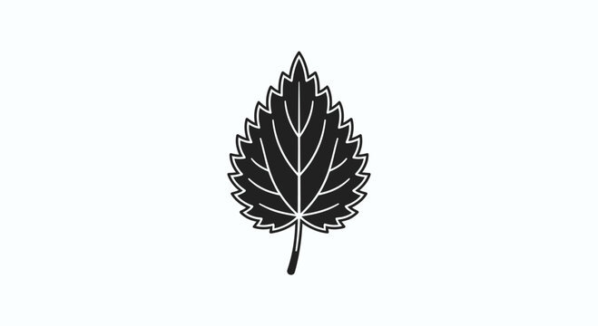 A minimalist black and white icon of a serrated stinging nettle leaf.