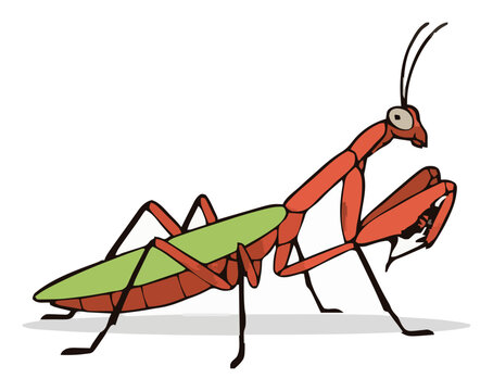 Orchid mantis crawling top-down view vector clipart. Generative AI