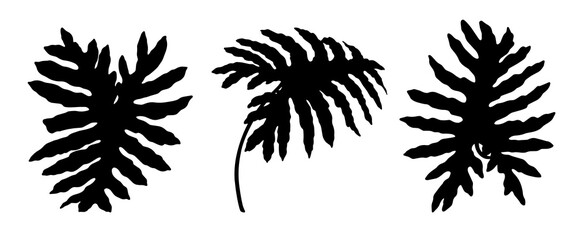 Vector Philodendron Selloum tropical leaves silhouette set. Hand drawn black and white botanical element with decorative shape. Flora design for logo icon template. Natural collection for stamp art. © NadyaSaen 