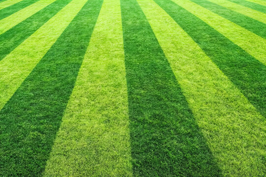 A well-maintained lawn with alternating light and dark green parallel stripes, forming a neat, orderly grassy expanse.