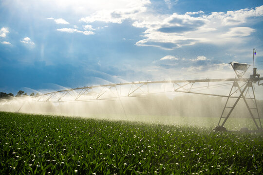 Irrigation boom sprays water evenly. Precision irrigation benefits crop growth. Farm irrigation covers farmland. Center pivot irrigation performs efficiently.