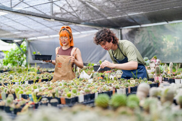 Obraz premium Young Asian Gen Z Men and Women Caring for Cactus Farm Small Eco-Friendly Business.