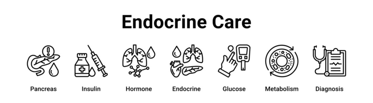 Endocrine Care web banner icon vector illustration concept for medical with icon of Pancreas, Insulin, Hormone, Endocrine, Glucose.