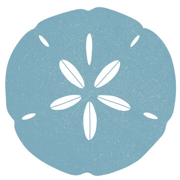 Blue sea biscuit sand dollar shell with textured surface echinoderm textured