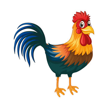 chicken, rooster, cartoon, hen, bird, farm, animal, vector, illustration, poultry, cockerel, beak, isolated, animals, feather, fowl, nature, agriculture, chickens, birds, drawing, art, clipart, silhou