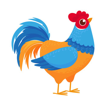 chicken, rooster, cartoon, hen, bird, farm, animal, vector, illustration, poultry, cockerel, beak, isolated, animals, feather, fowl, nature, agriculture, chickens, birds, drawing, art, clipart, silhou