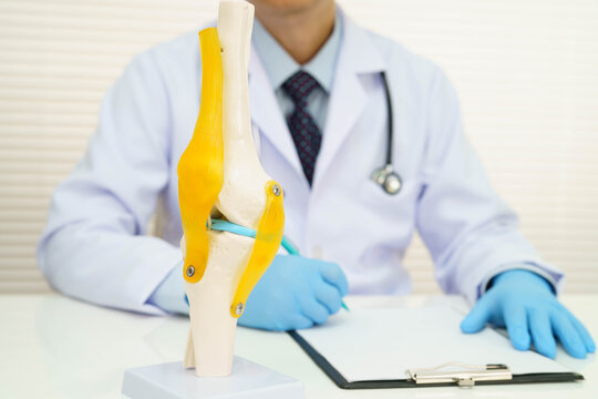 Asian doctor holding human ear model to learn and treat hearing loss in patient.