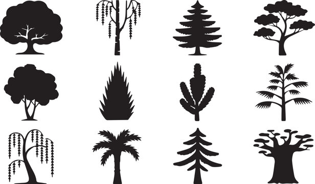 Black and white of various trees and plants, isolated foliage pine tree