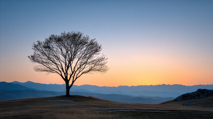 Fototapeta premium Sunset Glowing Sky Behind Lone Tree and Mountains