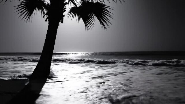 Black and white time lapse of ocean waves crashing onto sandy beach with palm tree silhouette at sunset or sunrise