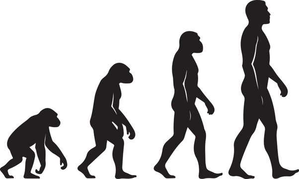 Theory of evolution of man silhouette