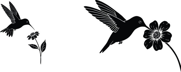 Hummingbird flying silhouette vector illustration set drinking nectar from a blooming flower isolated on white background nature elements © MdMohsin