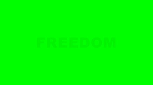4K green screen FREEDOM animated title - a flock of birds forms the word, kinetic typography motion graphics intro overlay, chroma key