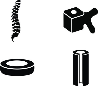 Comprehensive Spine Anatomy Icon Set Illustrating Human Vertebral Column, Vertebra Structure, Intervertebral Disc and Spinal Canal Cross Sections