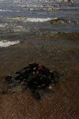Obraz premium ark waves crash near a rocky shore